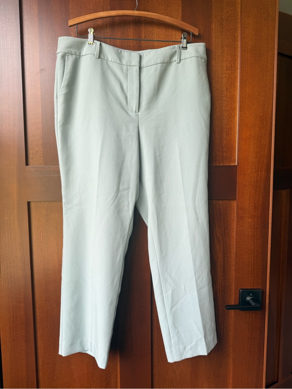 Ann Taylor Factory Sea Foam Polyester Pants Size 14
